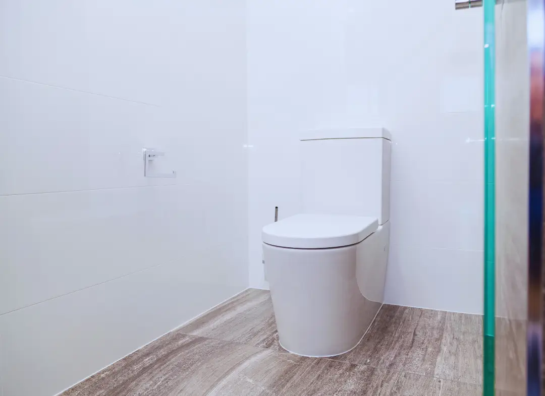 Remplacement de wc Auribeau-sur-Siagne